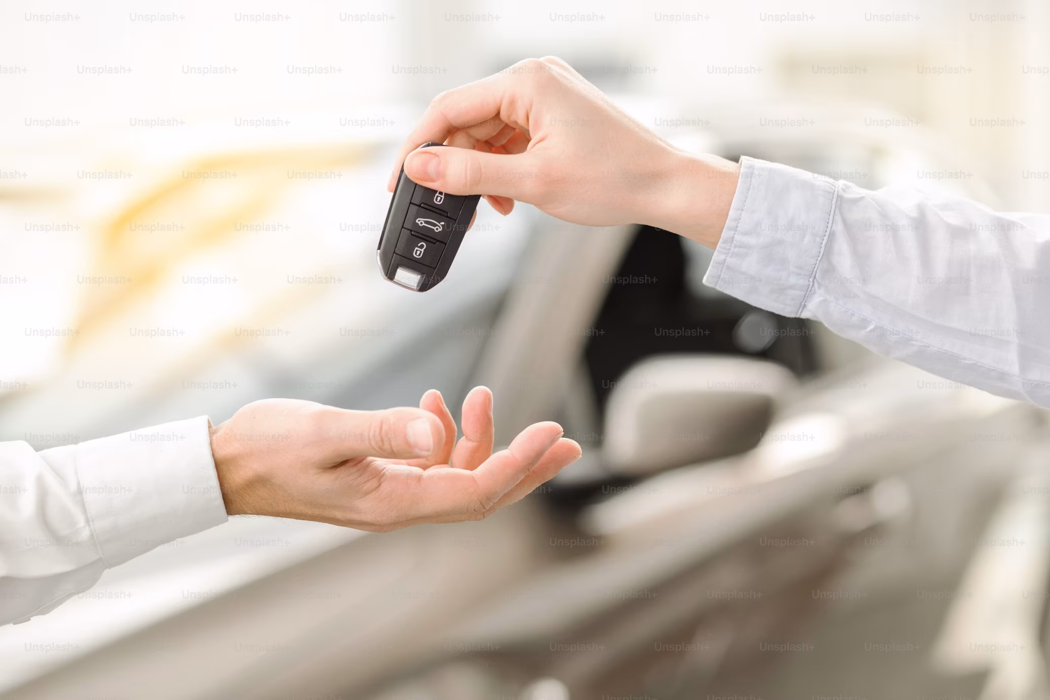 Looking for a rental car?